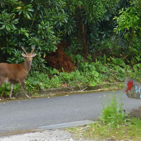 Tomarigi Hotell Yakushima  Eksteriør bilde